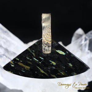 Nuummite Light Language Crystal Pendant 14k