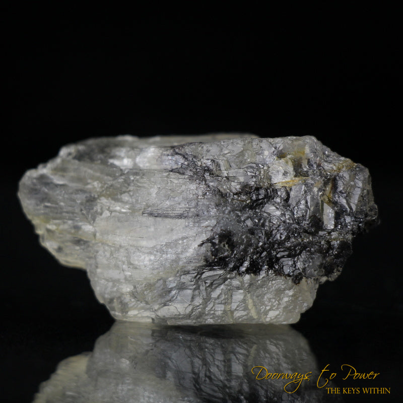 Light Beam Petalite Crystal & Synergy 12 Stone A+++
