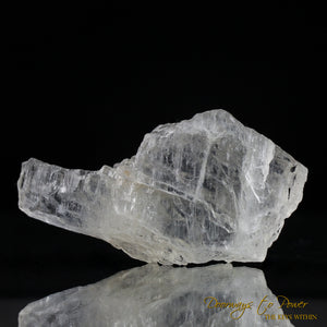 Petalite Crystal & Synergy 12 Stone