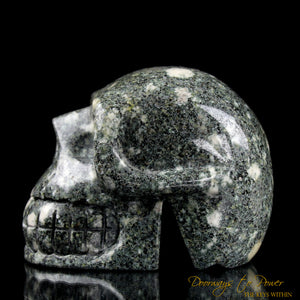 Preseli Stonehenge Bluestone Crystal Skull