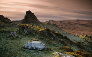Preseli Stonehenge Bluestone Crystal Skull