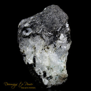 Large Rainbow Moonstone Dragon Crystal Carving 'Awaken the Dragon'