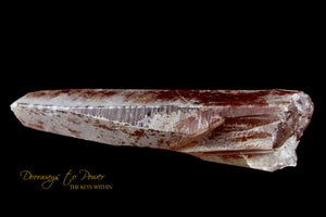 Scarlet Temple Rosetta Stone Cassiopeia Starbrary Lightning Struck Lemurian Wand