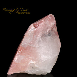 Scarlet Temple Rosetta Stone Starbrary Lightning Struck Lemurian Crystal
