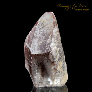 Scarlet Temple Rosetta Stone Lemurian Starbrary Lightning Struck Crystal