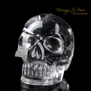 Sirius Quartz Crystal Skull Leandro De Souza