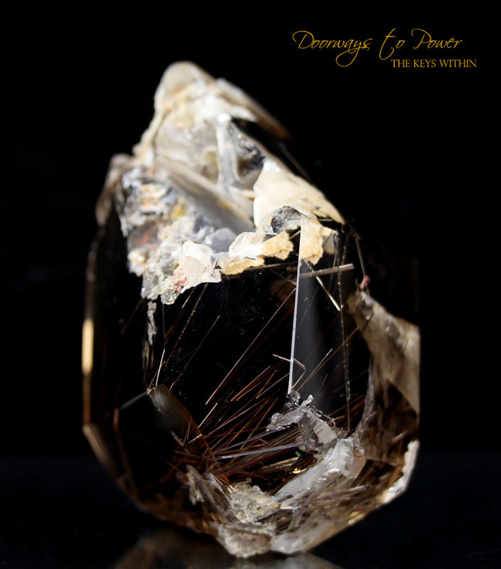Smoky Manifestation Quartz Golden Rutile's Crystal Doorways to Power