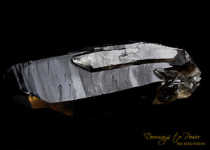 Smoky Citrine Lemurian Quartz Crystal 'Grounded In the All'
