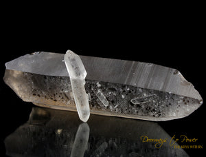 Golden Smoky Lemurian Dolphin Quartz Crystal