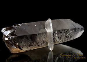 Golden Smoky Lemurian Dolphin Quartz Crystal