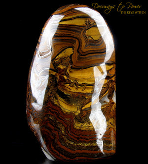 Tigers Eye Altar Stone "Voyager' Discernment and Balance