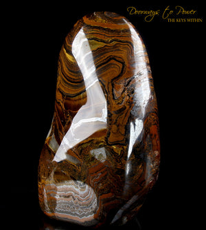 Tigers Eye Altar Stone "Voyager' Discernment and Balance