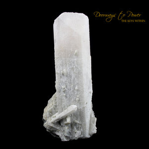 XL 8" Danburite Crystal Specimen Museum Quality