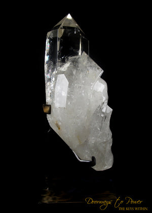 XL Clear Quartz Crystal GUARDIAN Skull Powerful