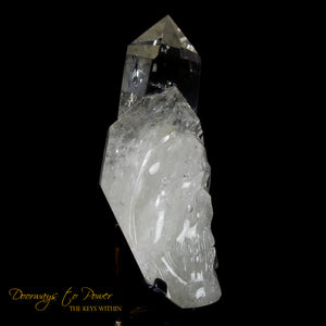XL Clear Quartz Crystal GUARDIAN Skull Powerful