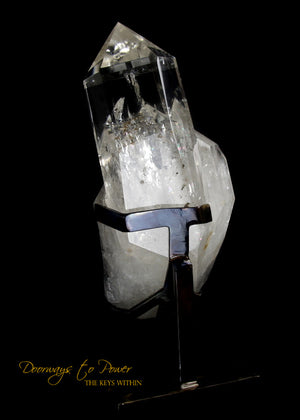 XL Clear Quartz Crystal GUARDIAN Skull Powerful