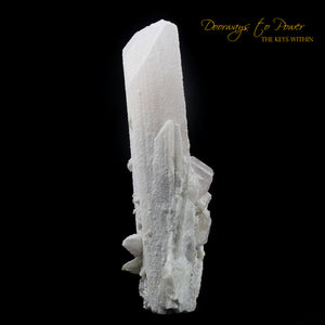 Danburite Crystal Specimen Museum Quality XL 8"
