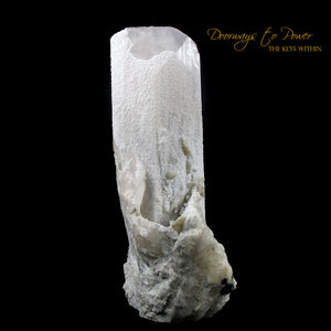 Danburite Crystal Specimen 'Museum Quality'