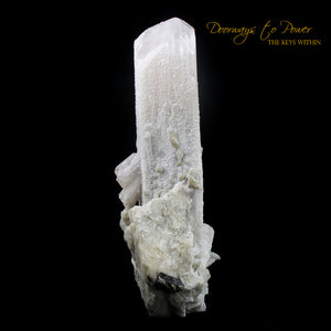 Danburite Crystal Synergy 12 Stone 
Museum Quality