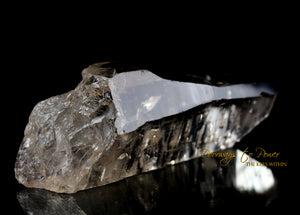Golden Lemurian Seed Quartz Record Keeper Crystal