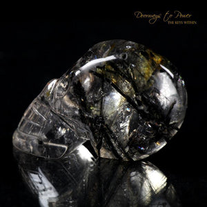 Tourmalinated Quartz Crystal Skull 'Ancient Code'