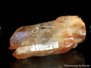 Lemurian Seed Tangerine Aura Imperial Gold Pleiaidan Starbrary Record Keeper Crystal