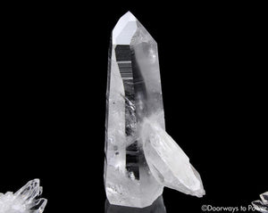 Lemurian Penetrator Quartz Temple Heart Dow Master Crystal 'Black Butterfly'