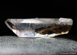 Brookite in Natural Quartz Record Keepers Dolphin Crystal Rare Synergy 12 Stone