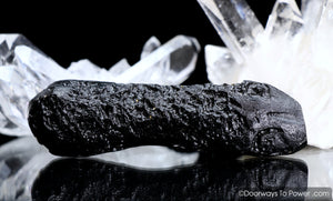 Tibetan Tektite Specimen Synergy 12 Stone 'Collectors Quality' Rare