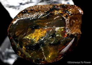 Sumatra Blue Amber Specimen