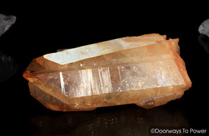 Lemurian Seed Tangerine Aura Imperial Gold Pleiaidan Starbrary Record Keeper Crystal