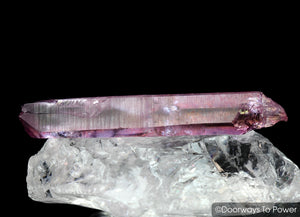 Pink Rose Aura Lemurian Seed Rainbow Quartz Crystal