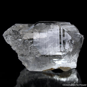 Himalayan Nirvana Quartz Lightbrary Crystal
