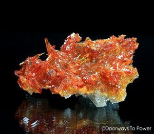 Zincite Crystal Cluster Specimen A+++ Collectors Quality