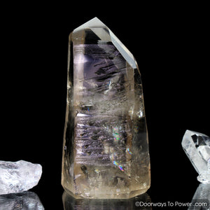 Golden Lemurian Seed Tantric Twin Record Keeper Crystal Point (RARE)