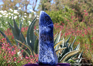 John of God Sodalite Crystal Sculpture & Altar Stone 'Deep Journey' (Rare) 20 lbs