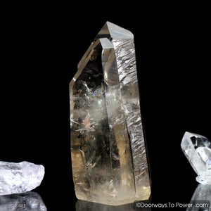 Golden Lemurian Seed Tantric Twin Record Keeper Crystal Point (RARE)