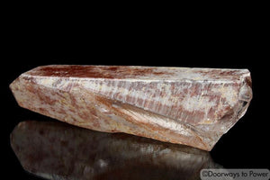 Scarlet Temple Starbary Lightning Strike Lemurian Quartz Crystal