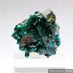 Dioptase Mineral Specimen Prosperity Crystal 'Collectors Quality'