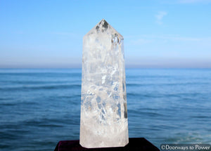 17.5" Clear Quartz Devic Temple Master Crystal 'El·e·va·tion' 22 lbs