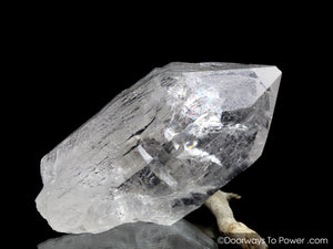 Himalayan Nirvana Quartz Crystal 'Alpha Canis' Starbary Record Keeper Rare