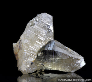 Golden Azeztulite Pleiadian Starbrary Record Keeper Twin Crystal RARE A ++++