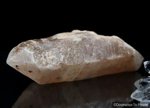 Tangerine Dreamsicle Lemurian Quartz Crystal Record Keeper