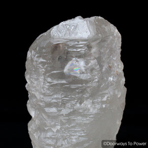 Nirvana Quartz Master Record Keeper ET Crystal "Evolution' Azozeo Super Activated