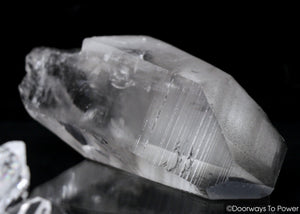Black Phantom Lemurian Record Keeper Quartz DOW Crystal