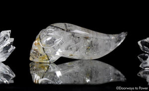 Black Tourmalinated Star Traveler Quartz Crystal Skull 'Traveling Space & Time'