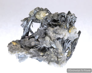 Stibnite & Calcite Specimen 'ODYSSEY' Collectors Quality