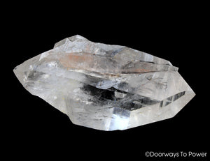 Lemurian Light Quartz Record Keeper DT Crystal