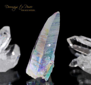 Lemurian Seed Quartz Crystal