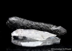 Tibetan Tektite Specimen 'Stone of shamaballa'  5" Rare & Big Synergy 12 Stone